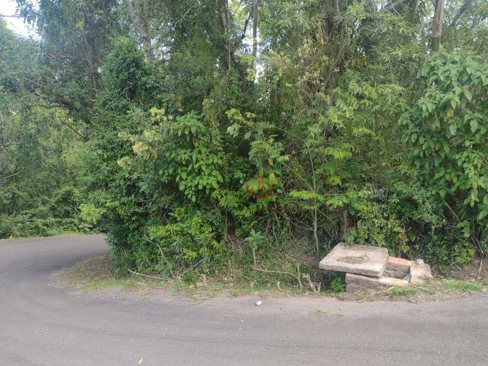 Terreno, 1 hectares - Foto 3