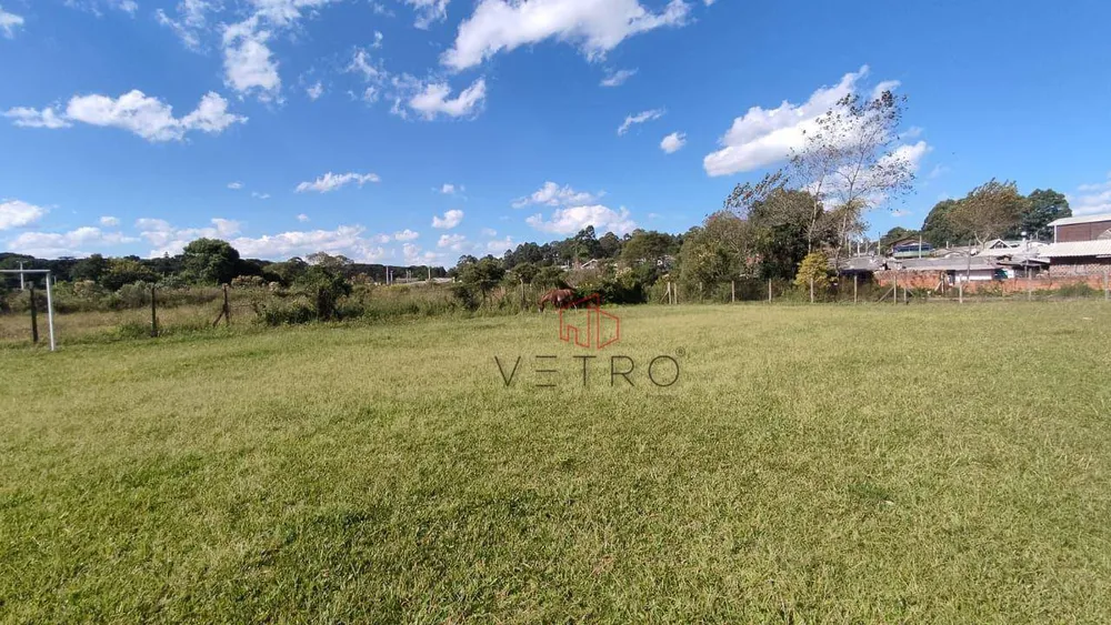 Terreno, 2 hectares - Foto 4