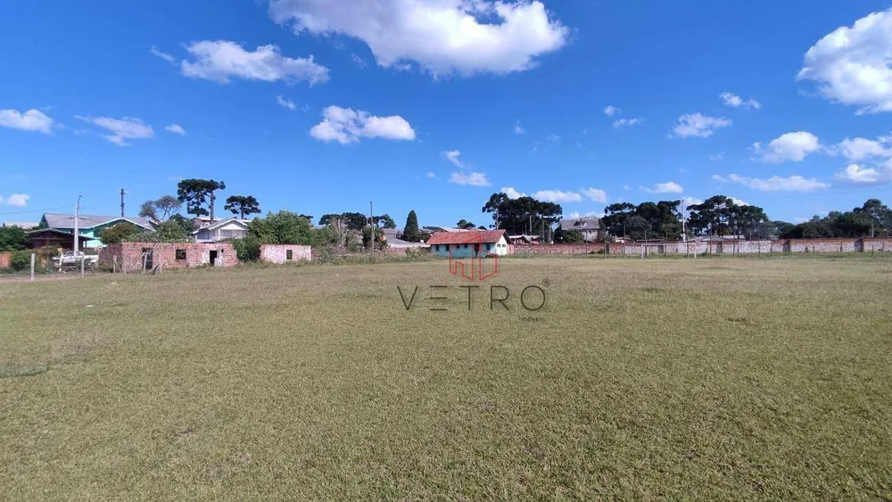 Terreno, 2 hectares - Foto 3