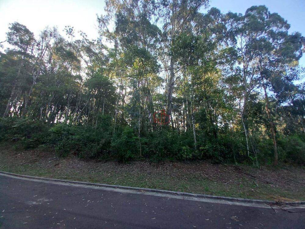 Terreno, 3008 m² - Foto 5