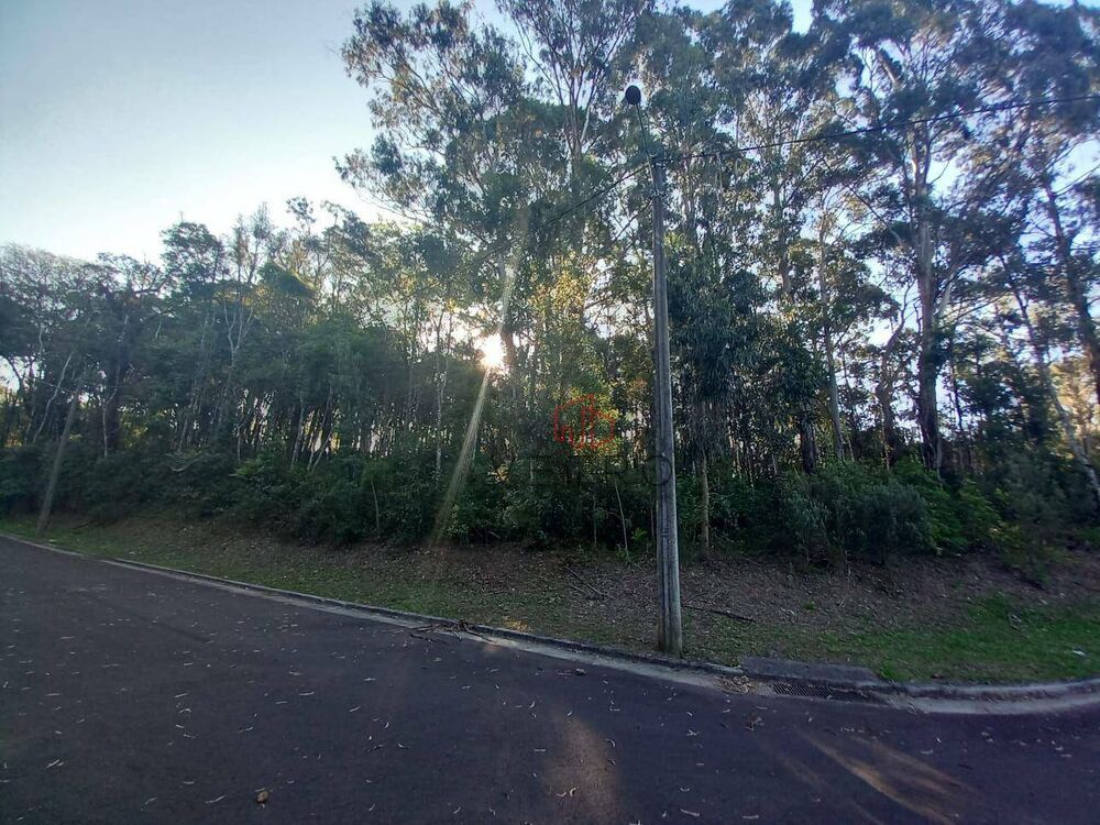 Terreno, 3008 m² - Foto 1