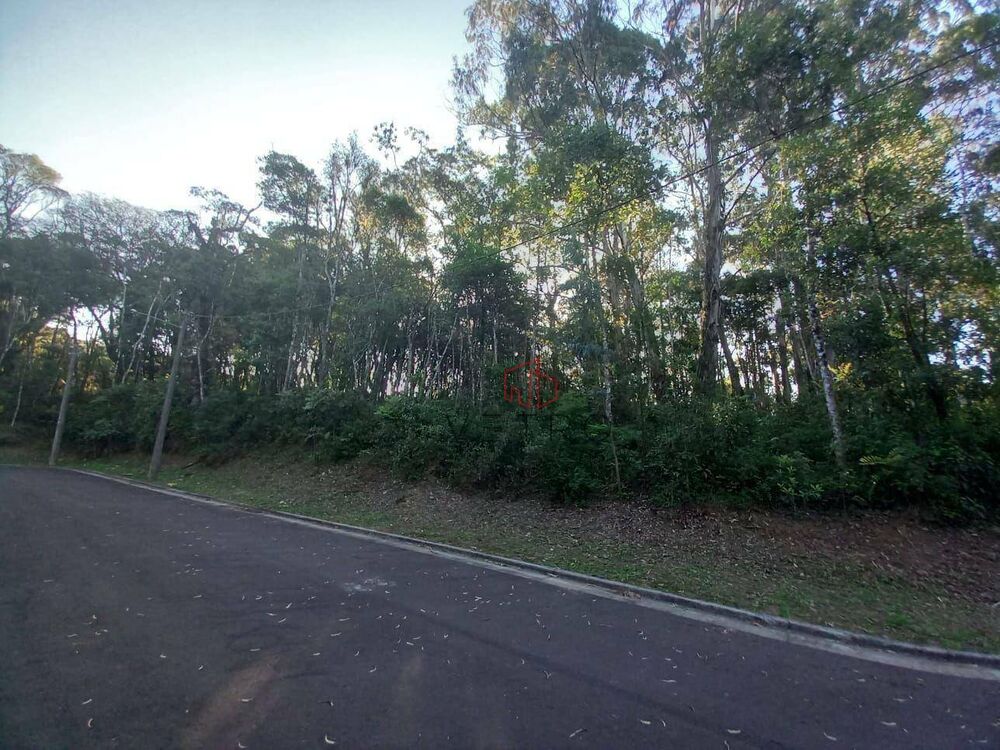 Terreno, 3008 m² - Foto 4