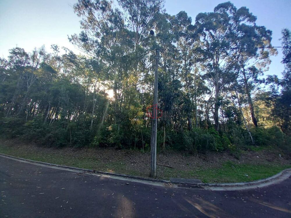 Terreno, 3008 m² - Foto 7