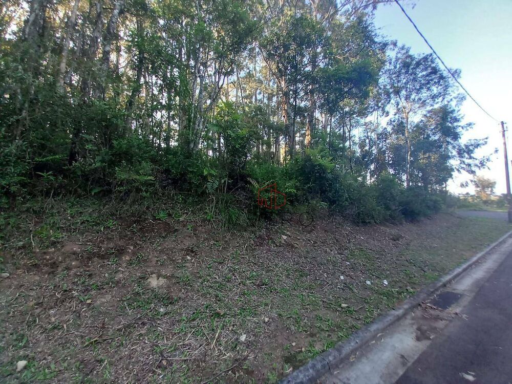 Terreno, 3008 m² - Foto 3