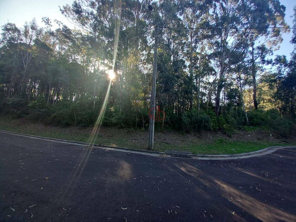 Terreno, 3008 m² - Foto 6