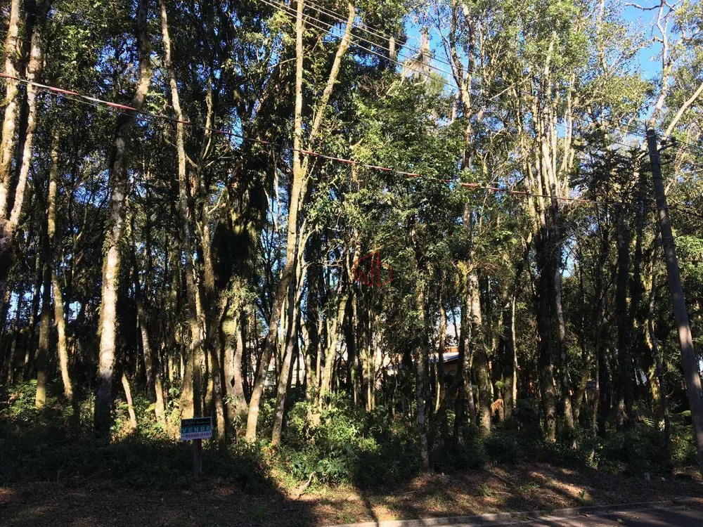 Loteamento e Condomínio, 805 m² - Foto 2