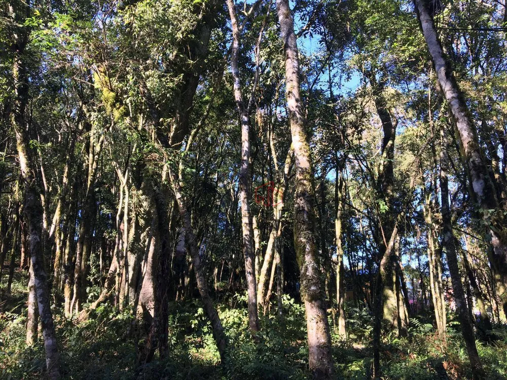 Loteamento e Condomínio, 805 m² - Foto 3