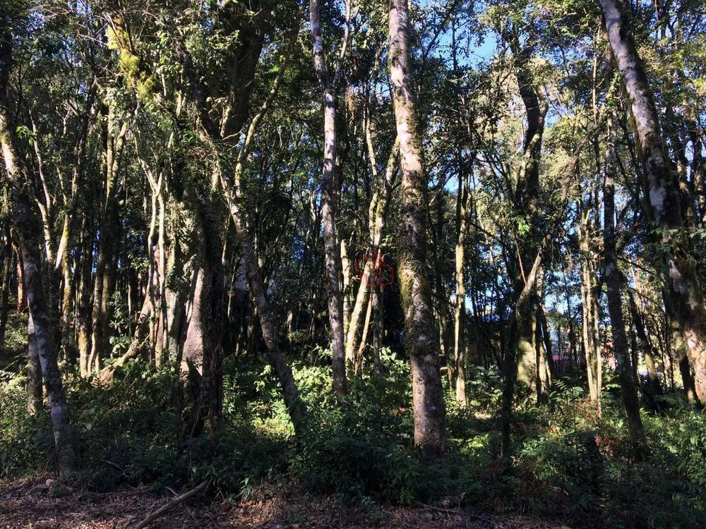 Loteamento e Condomínio, 805 m² - Foto 1