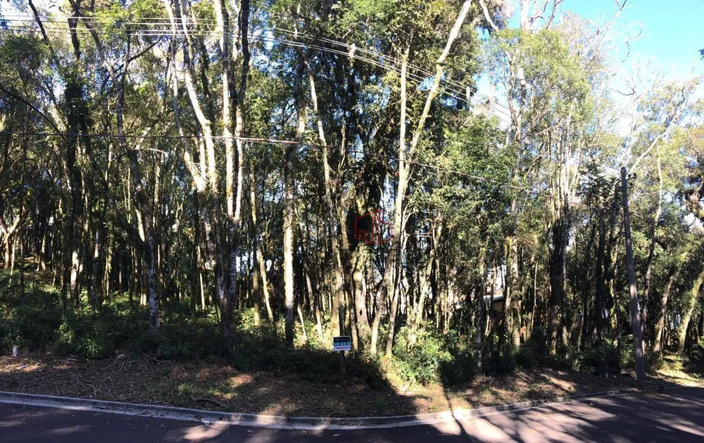 Loteamento e Condomínio, 805 m² - Foto 4