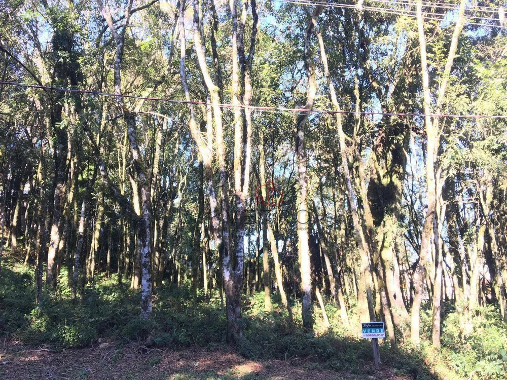 Loteamento e Condomínio, 805 m² - Foto 5