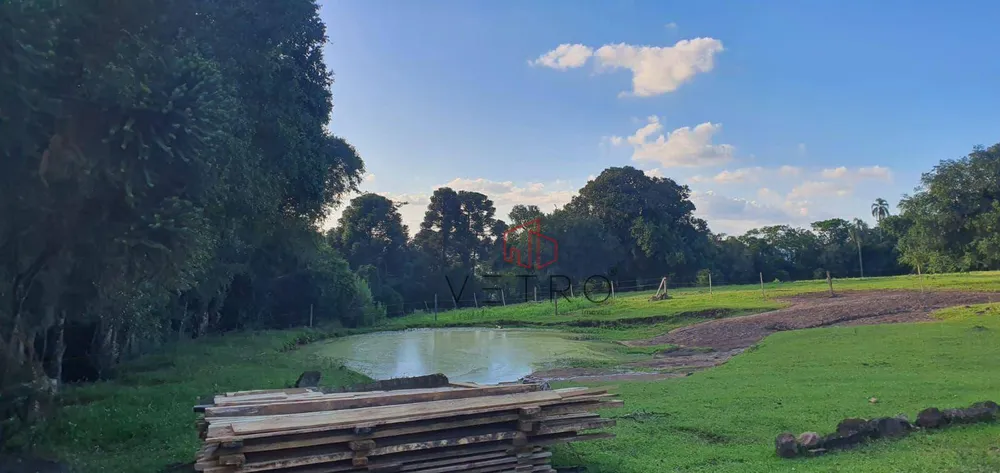 Sítio, 4 quartos, 24 hectares - Foto 4