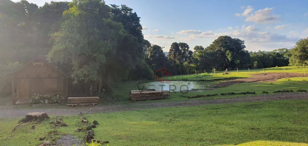 Sítio, 4 quartos, 24 hectares - Foto 3