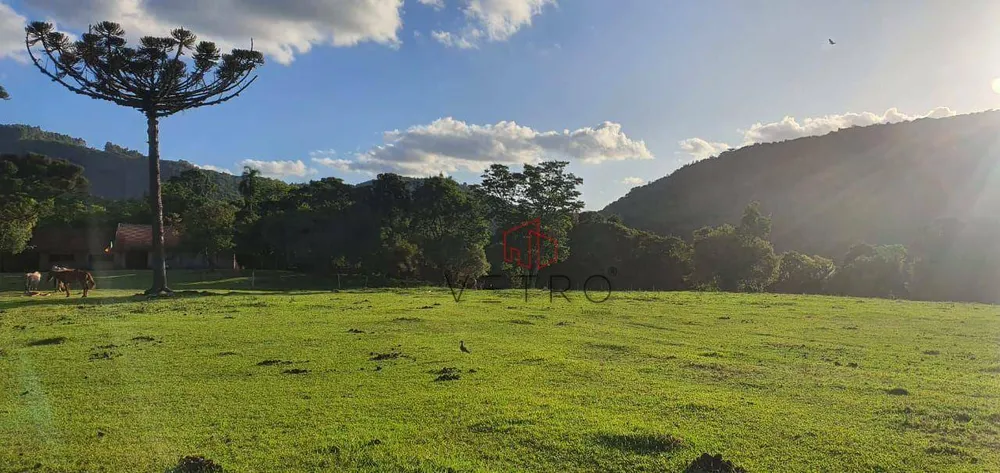 Sítio, 4 quartos, 24 hectares - Foto 1