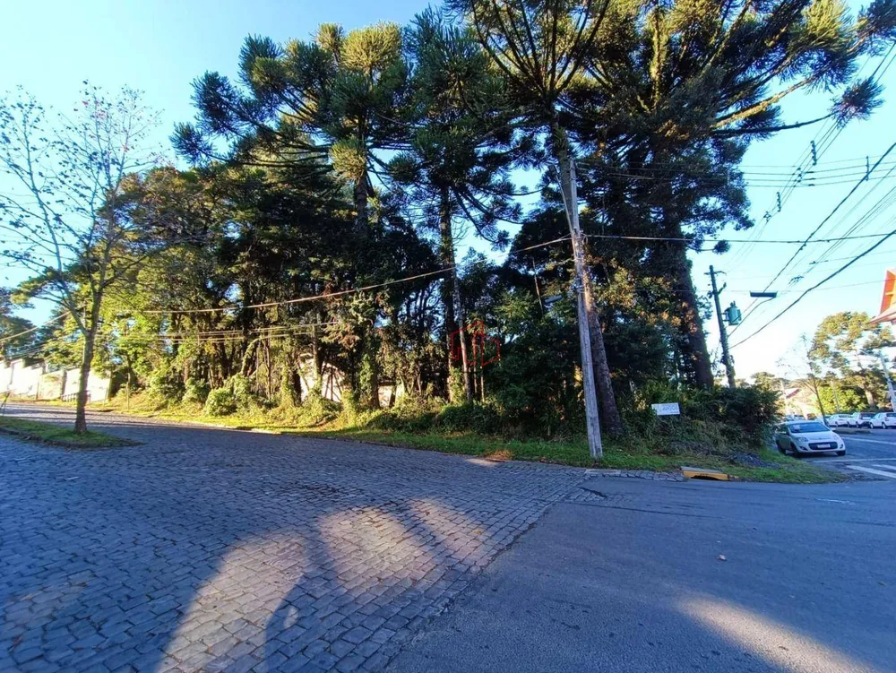 Terreno, 800 m² - Foto 6
