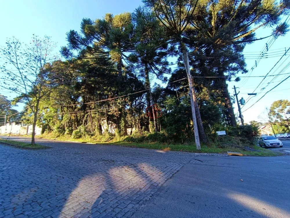Terreno, 800 m² - Foto 1