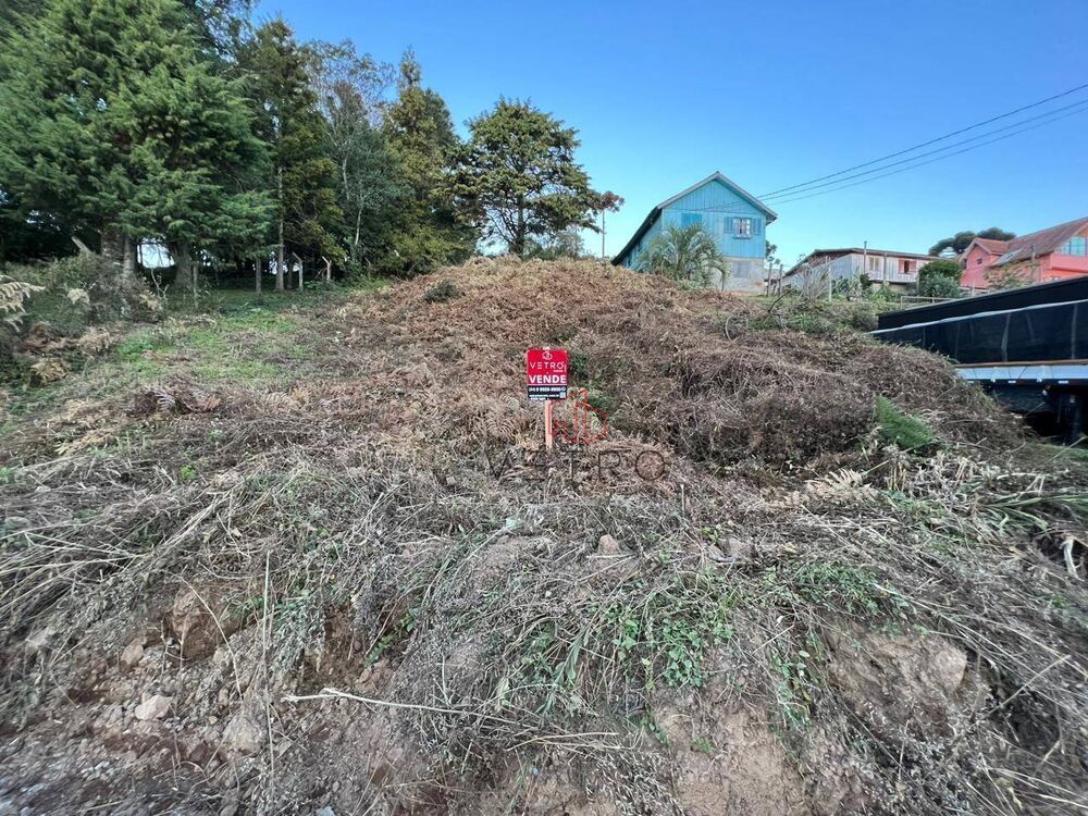 Terreno, 2486 m² - Foto 6