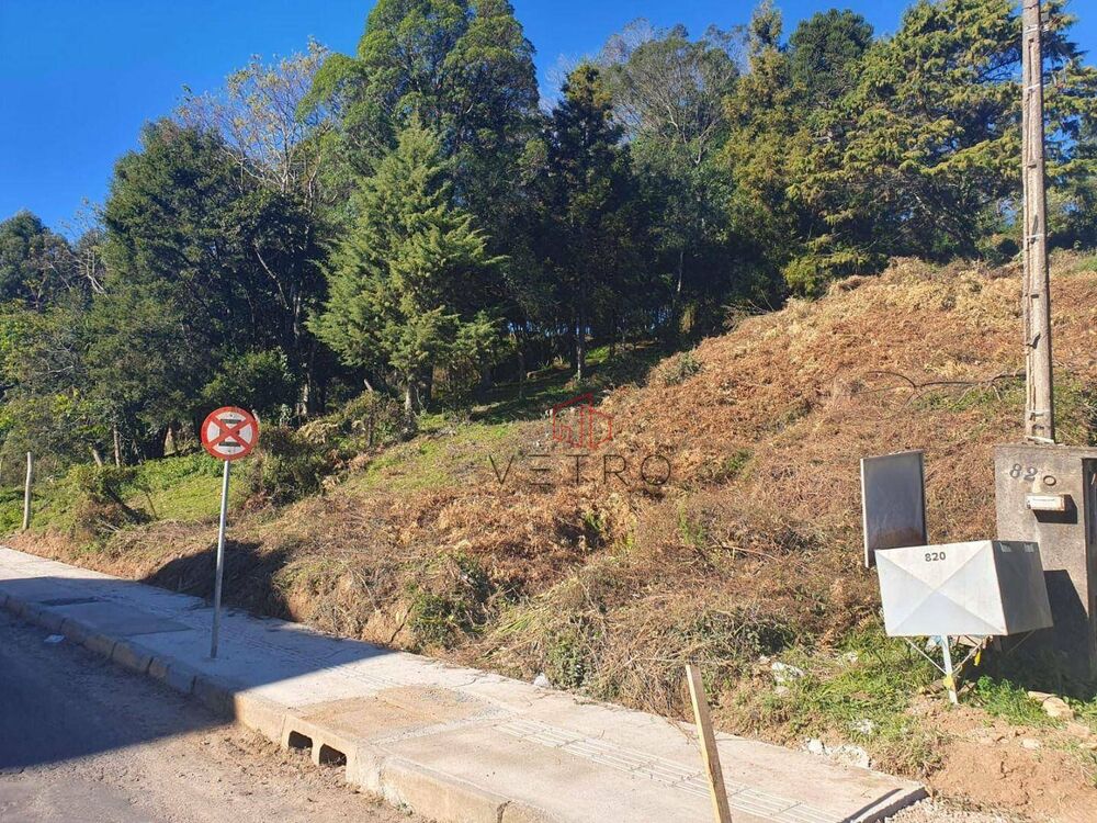 Terreno, 2486 m² - Foto 3