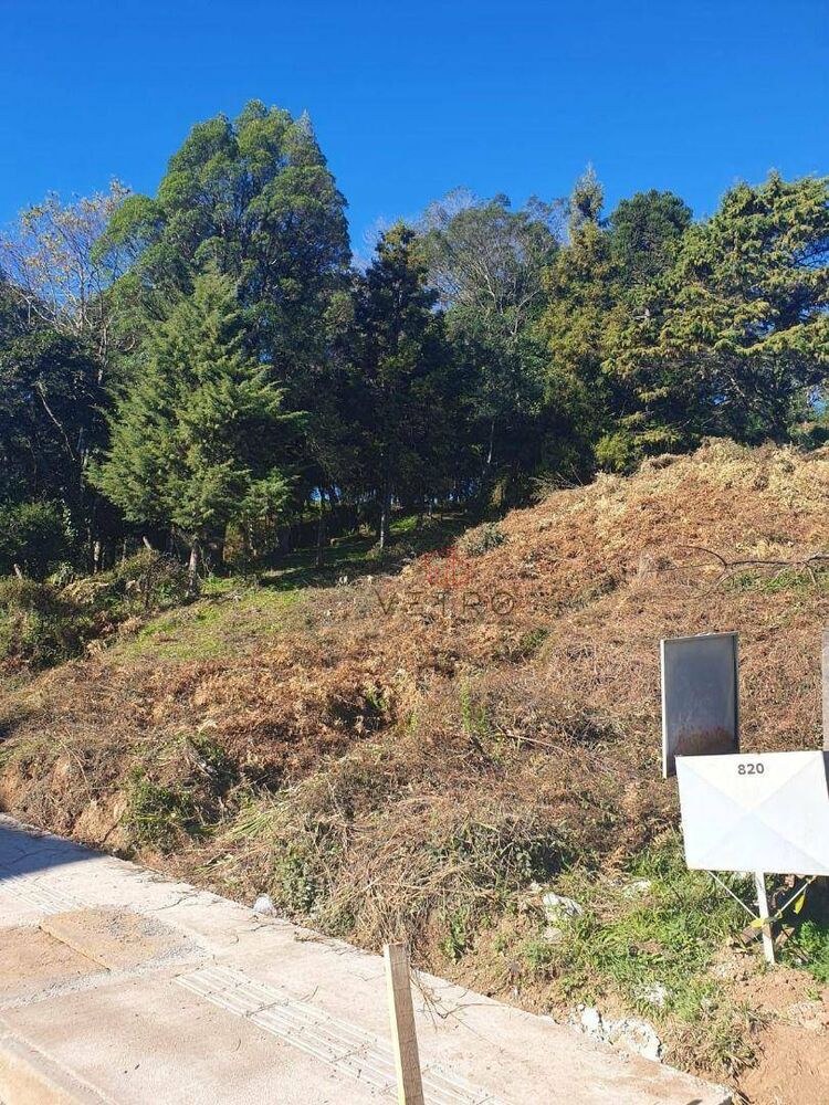 Terreno, 2486 m² - Foto 5