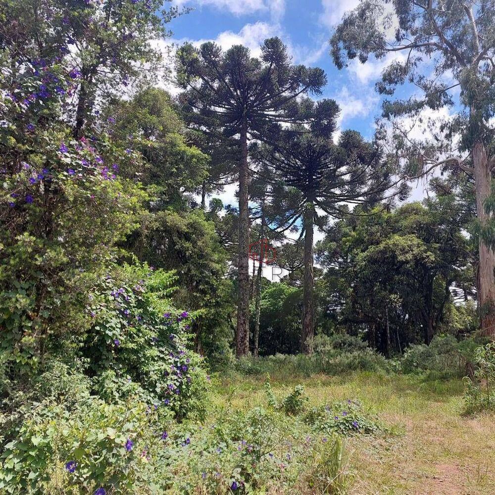 Terreno à venda, 407M2 - Foto 6
