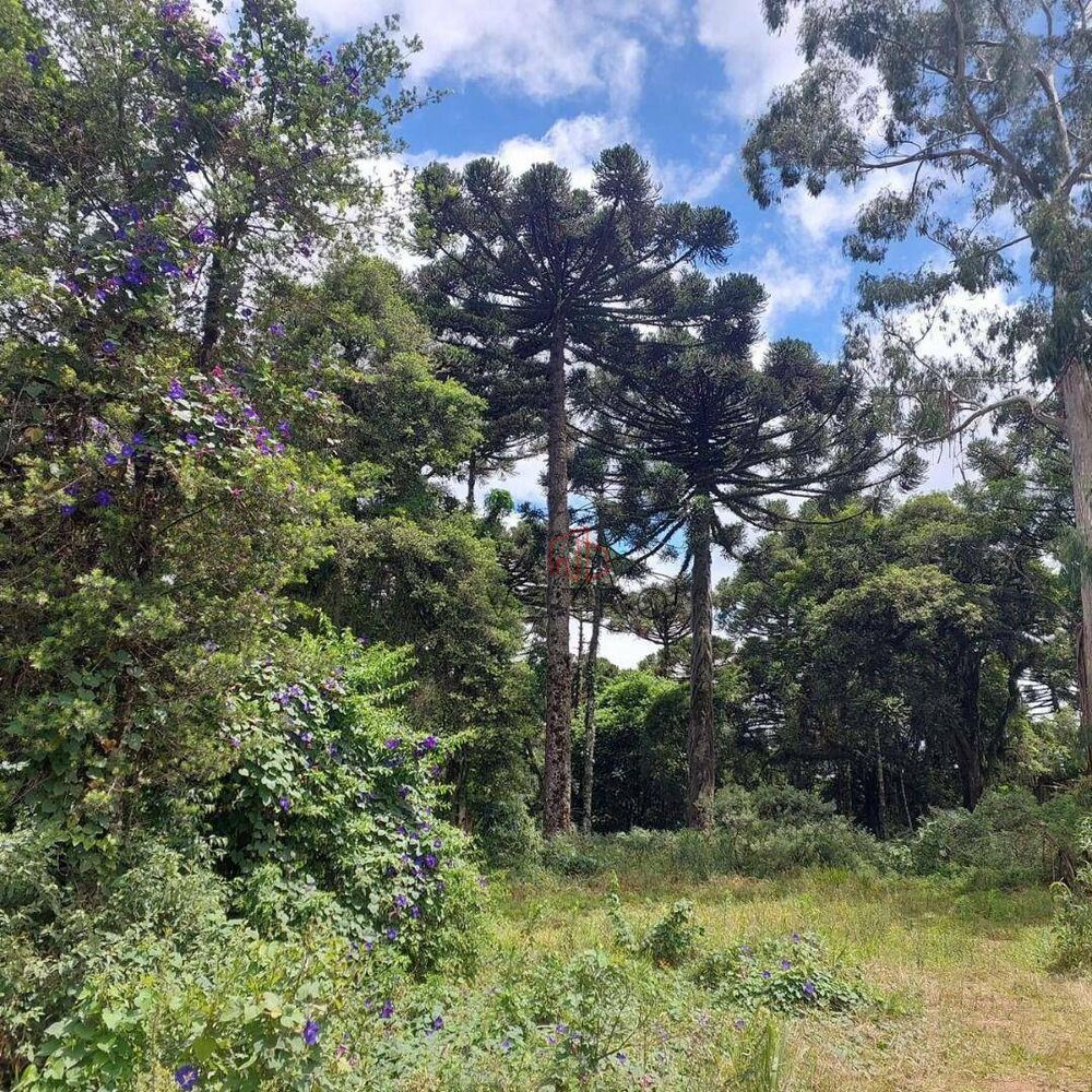 Terreno à venda, 407M2 - Foto 8
