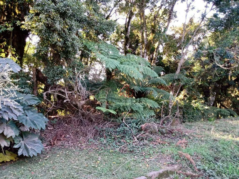 Terreno, 1423 m² - Foto 2