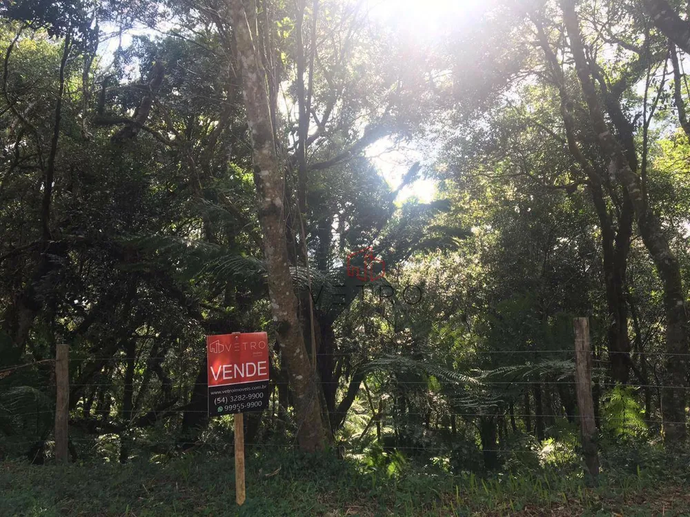 Terreno, 1423 m² - Foto 5