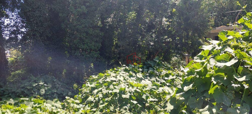 Terreno, 588 m² - Foto 4