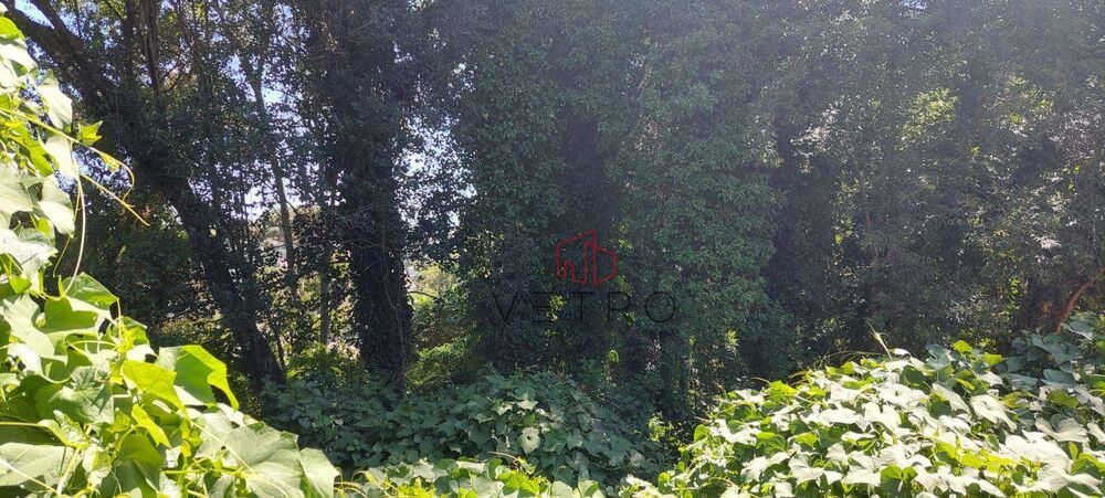 Terreno, 588 m² - Foto 3