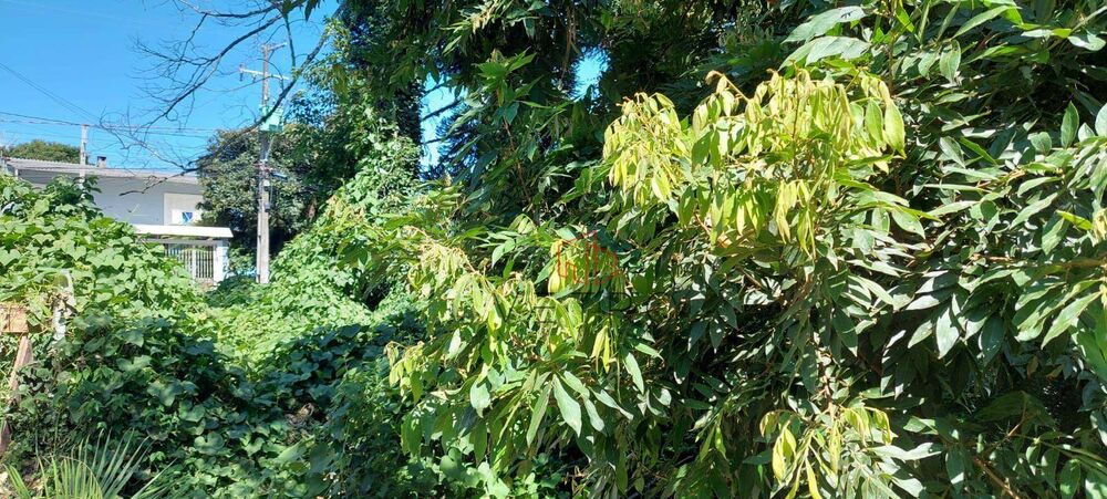 Terreno, 588 m² - Foto 5