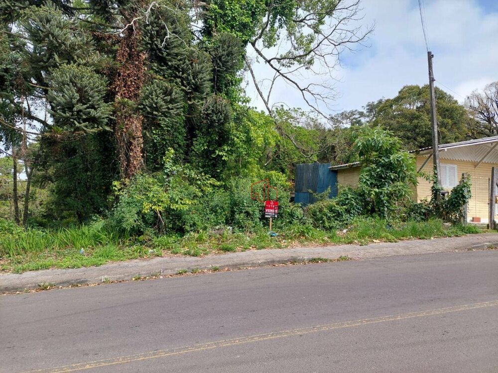 Terreno, 588 m² - Foto 1