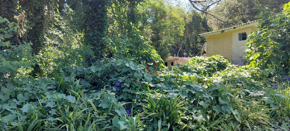 Terreno, 588 m² - Foto 6