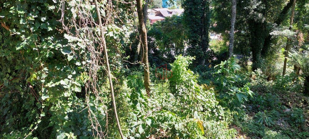 Terreno, 588 m² - Foto 2