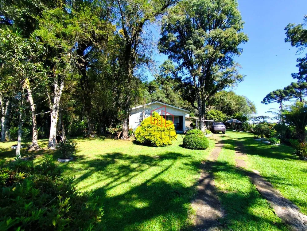 Terreno, 4 hectares - Foto 11