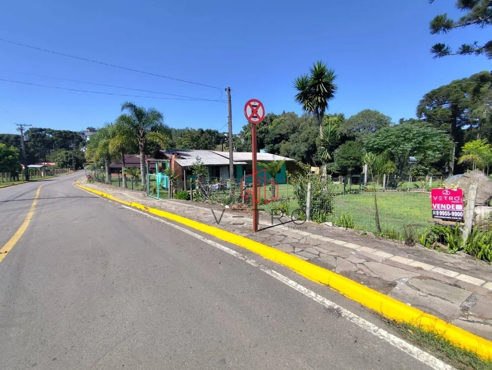 Terreno, 4 hectares - Foto 6