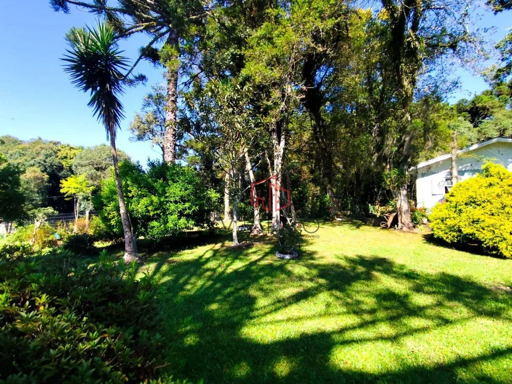 Terreno, 4 hectares - Foto 8
