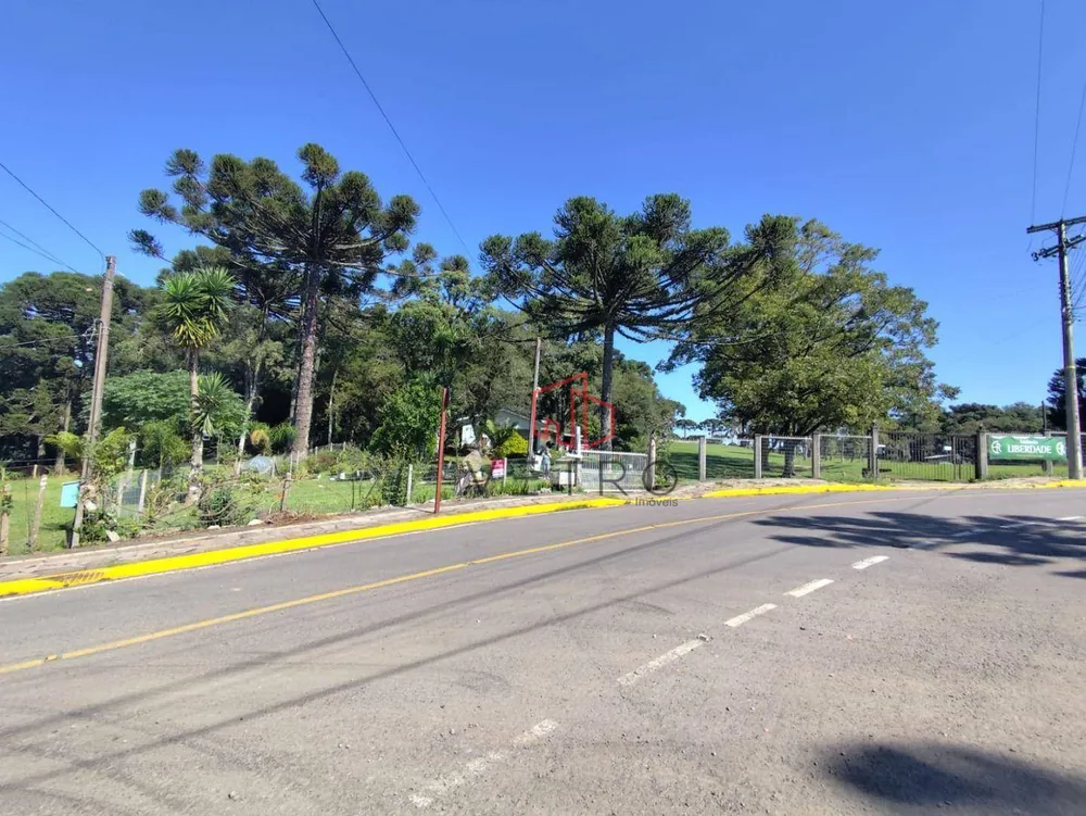 Terreno, 4 hectares - Foto 7