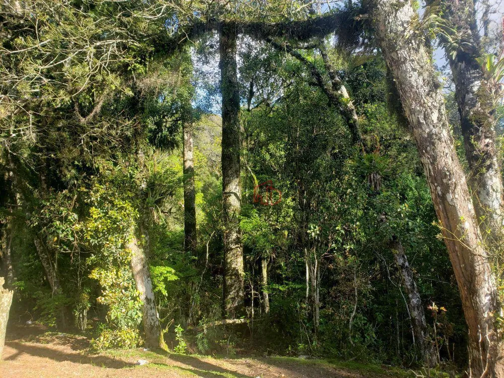 Terreno, 6 hectares - Foto 6