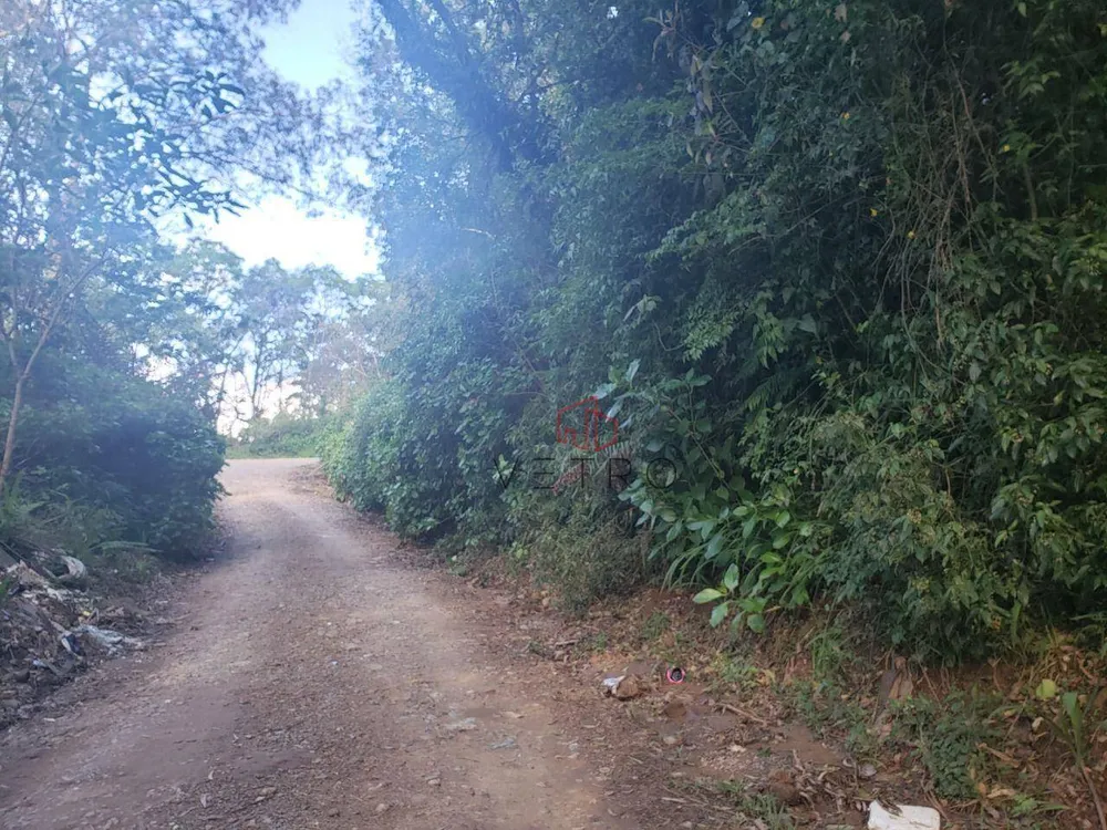 Terreno, 6 hectares - Foto 4
