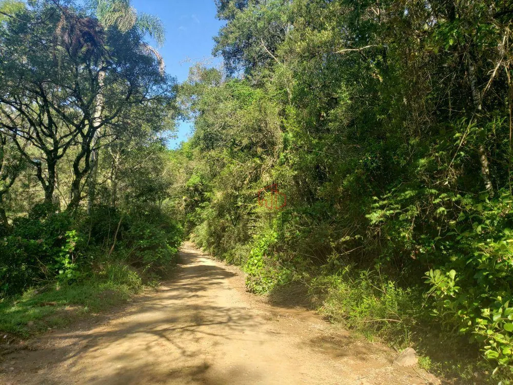 Terreno, 6 hectares - Foto 1