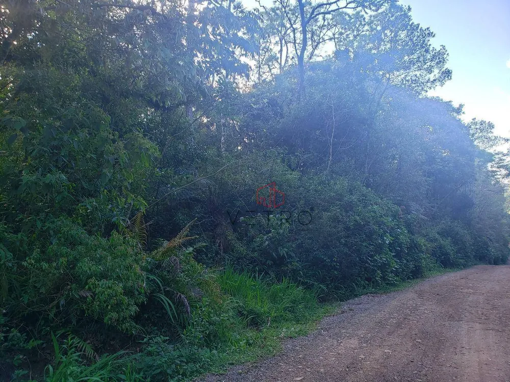 Terreno, 6 hectares - Foto 7