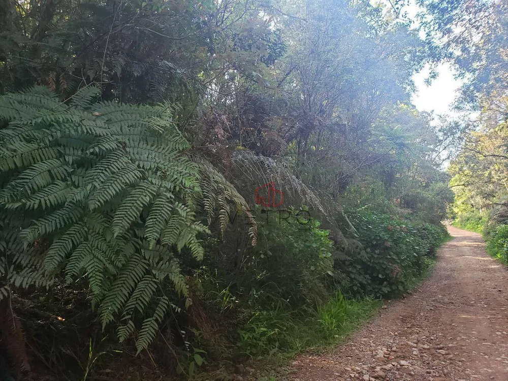 Terreno, 6 hectares - Foto 8