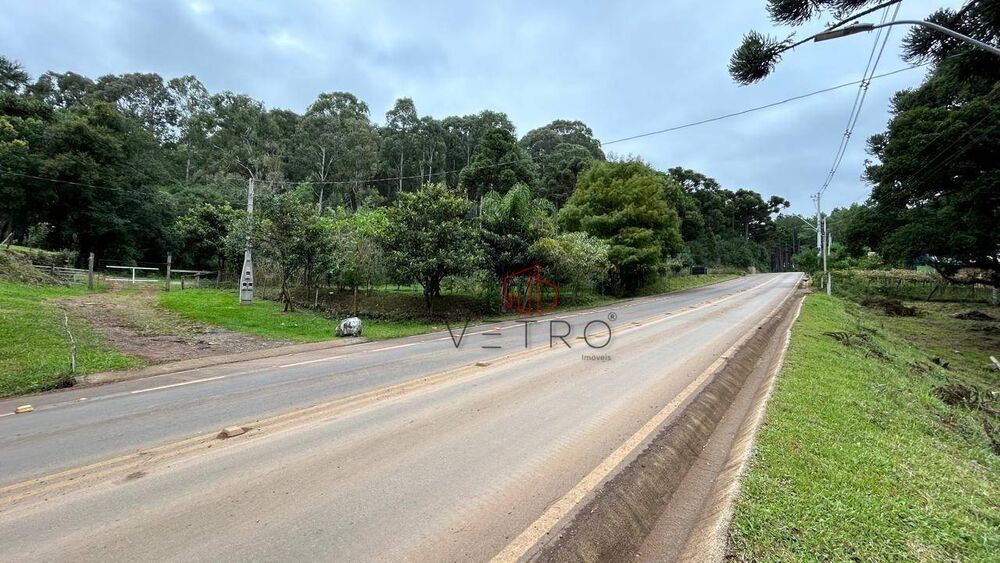 Terreno, 4 hectares - Foto 6