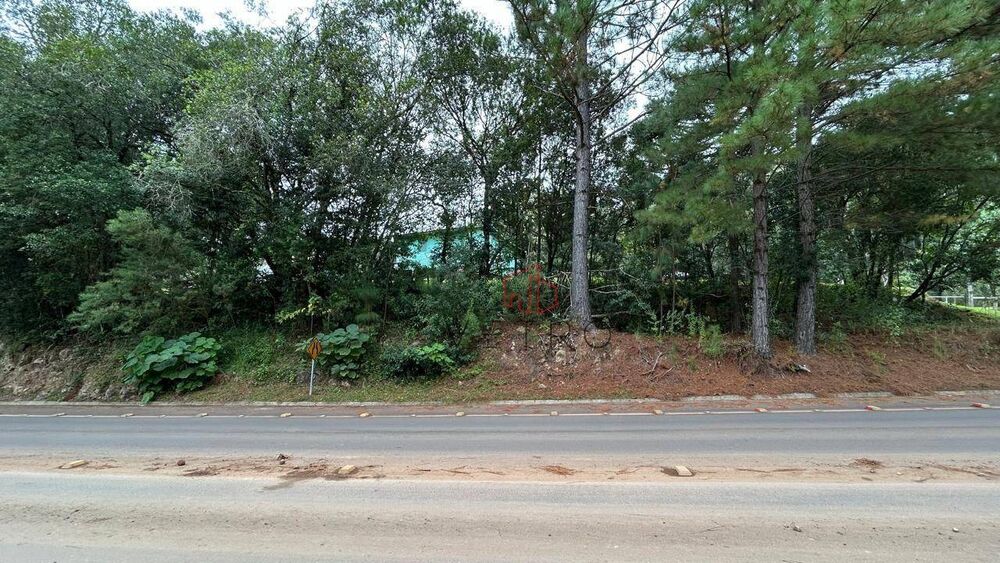 Terreno, 4 hectares - Foto 5