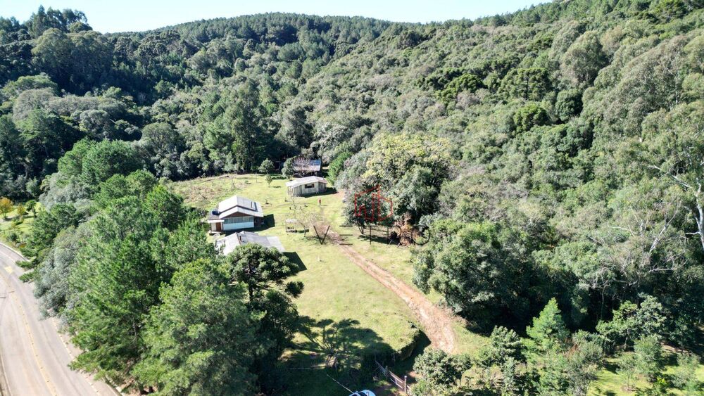 Terreno, 4 hectares - Foto 3