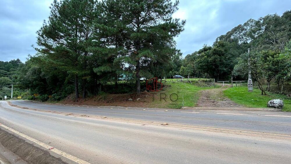 Terreno, 4 hectares - Foto 4