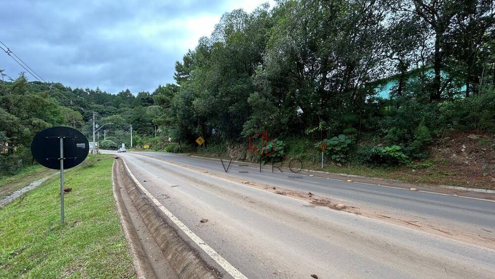 Terreno, 4 hectares - Foto 7