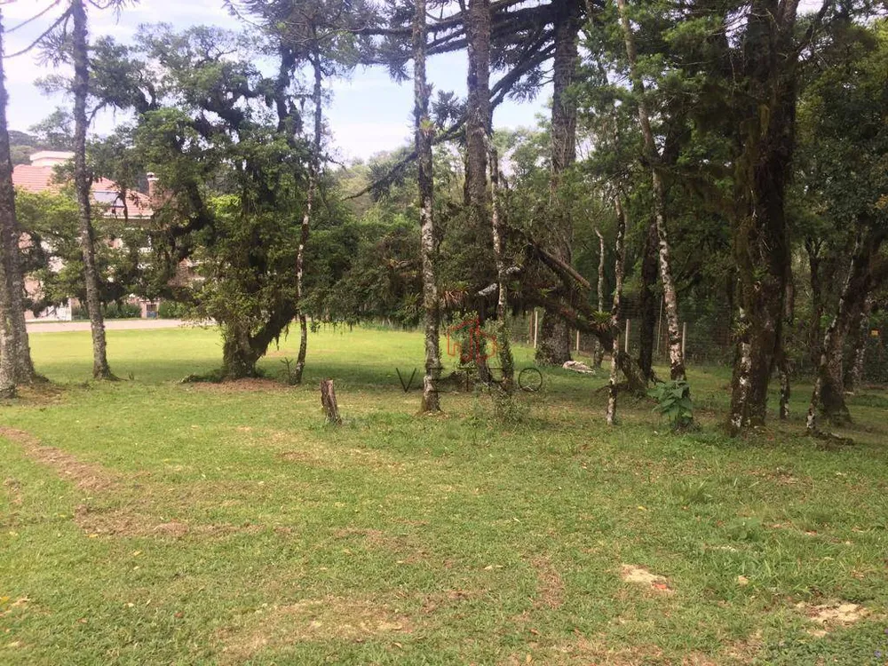 Loteamento e Condomínio, 544 m² - Foto 1