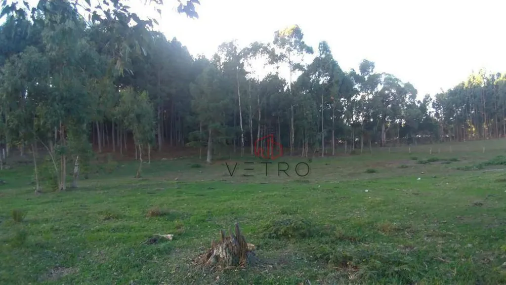Sítio, 3 hectares - Foto 8