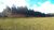 Sítio, 3 hectares - Foto 2