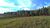 Sítio, 3 hectares - Foto 3